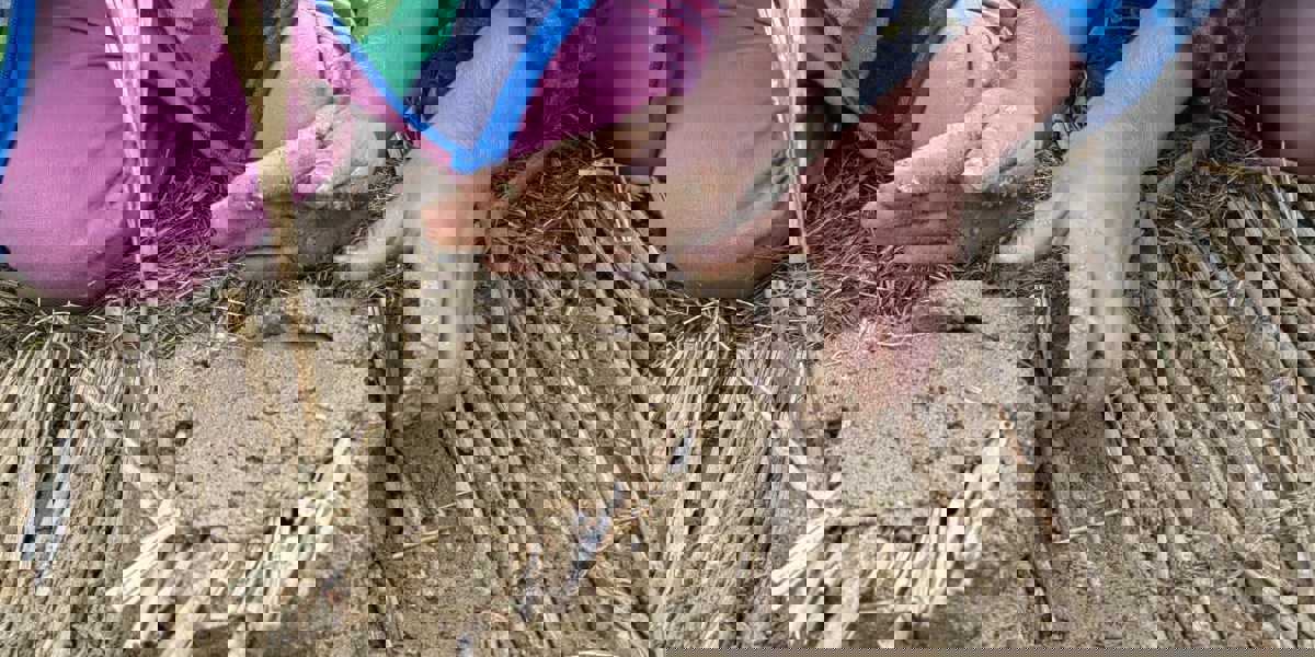 Естествените строителни материали – естествен избор на здравия и осъзнат човек