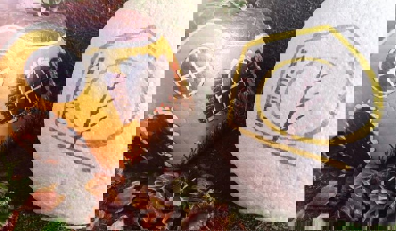 ПоКрив или по-прав