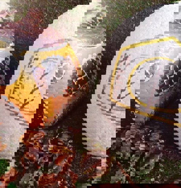 ПоКрив или по-прав